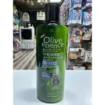 Shampoo Olive for cats